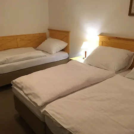 Hotel Tri Ruze-2
